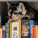 A kitten sits on a series of fantasy books.